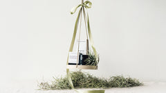 The Herbalist Gift Guide