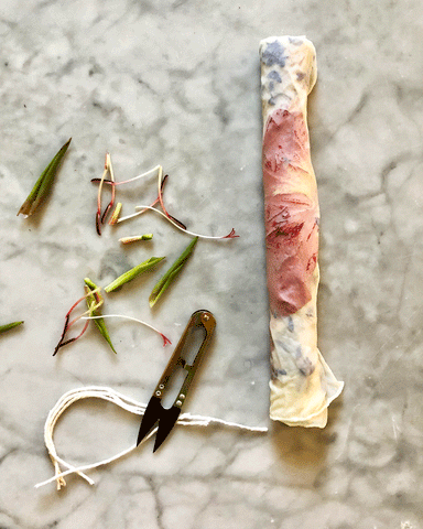 Natural Dyeing Workshop with Maggie Pate, Color Steam