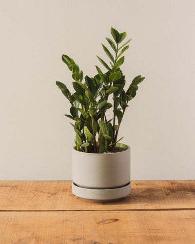 Round Two Pot, Grey