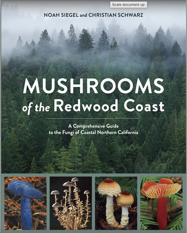 Mushrooms of the Redwood Coast - Noah Siegel, Christian Schwarz
