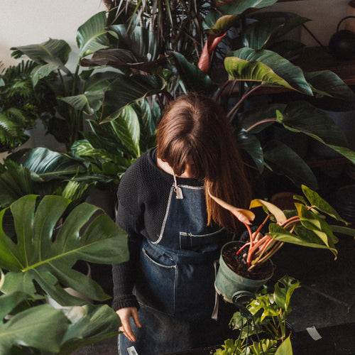 Greenhouse 1-Yr Anniversary, Dec 21 - 22