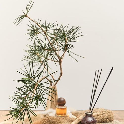 Spiritual Cookies Exhibition - Fragrance Line by Jeremiah Green