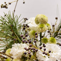 *Preorder* Winter Solstice Floral Arrangement