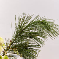 *Preorder* Winter Solstice Floral Arrangement