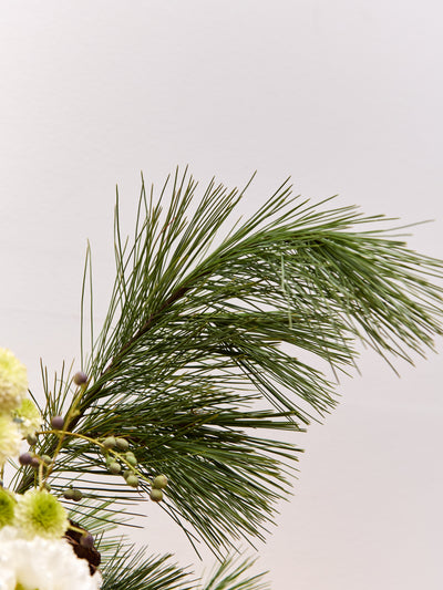 *Preorder* Winter Solstice Floral Arrangement