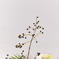 *Preorder* Winter Solstice Floral Arrangement