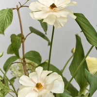 *Preorder* Alba Floral Arrangement