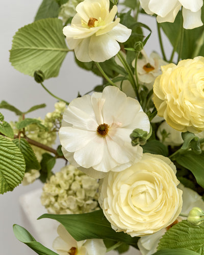 *Preorder* Alba Floral Arrangement