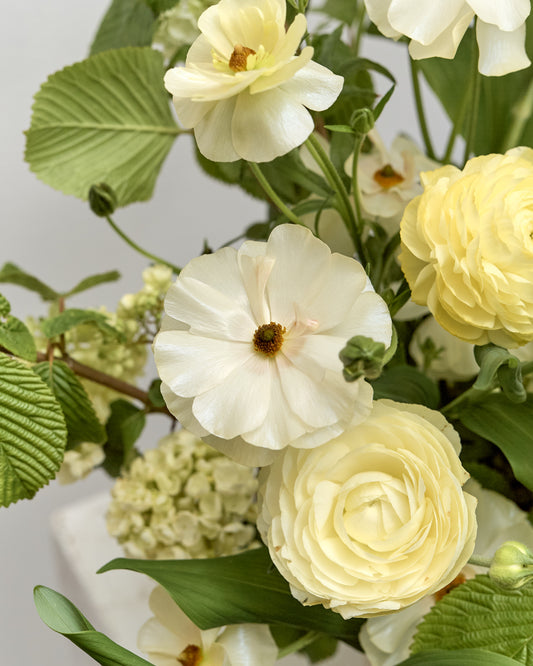 *Preorder* Alba Floral Arrangement
