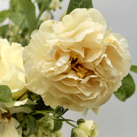 *Preorder* Alba Floral Arrangement