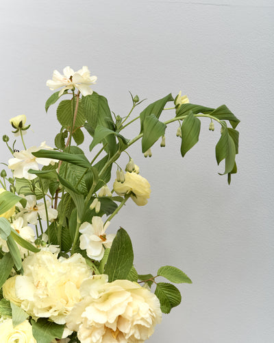 *Preorder* Alba Floral Arrangement