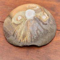 Alex Roby Wood Fired Dish No.1