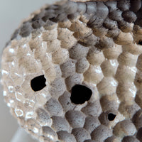 Ceramic Hand-Building Workshop with Alex Roby