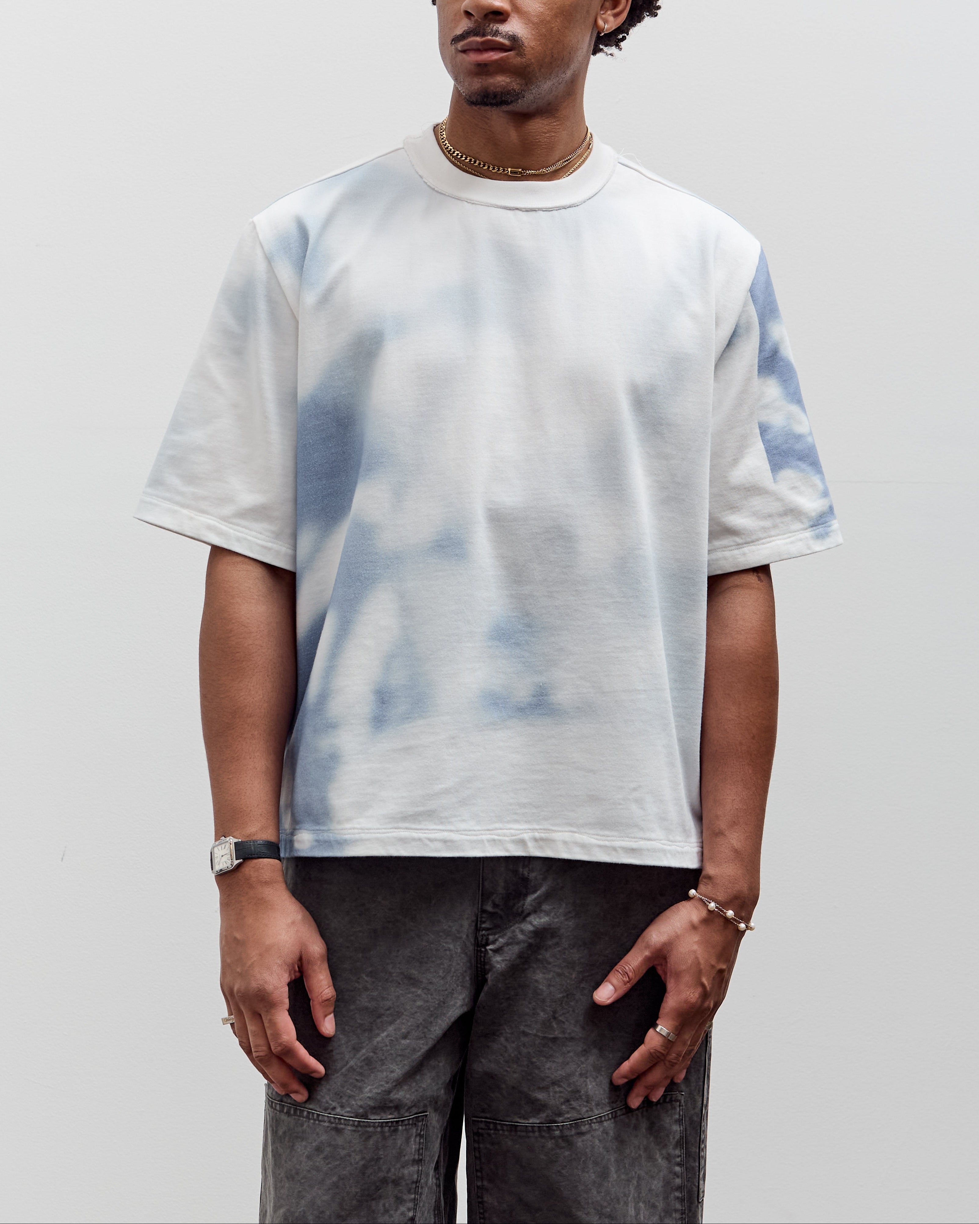 Camiel Fortgens Big Tee, Shade Print – Glasswing