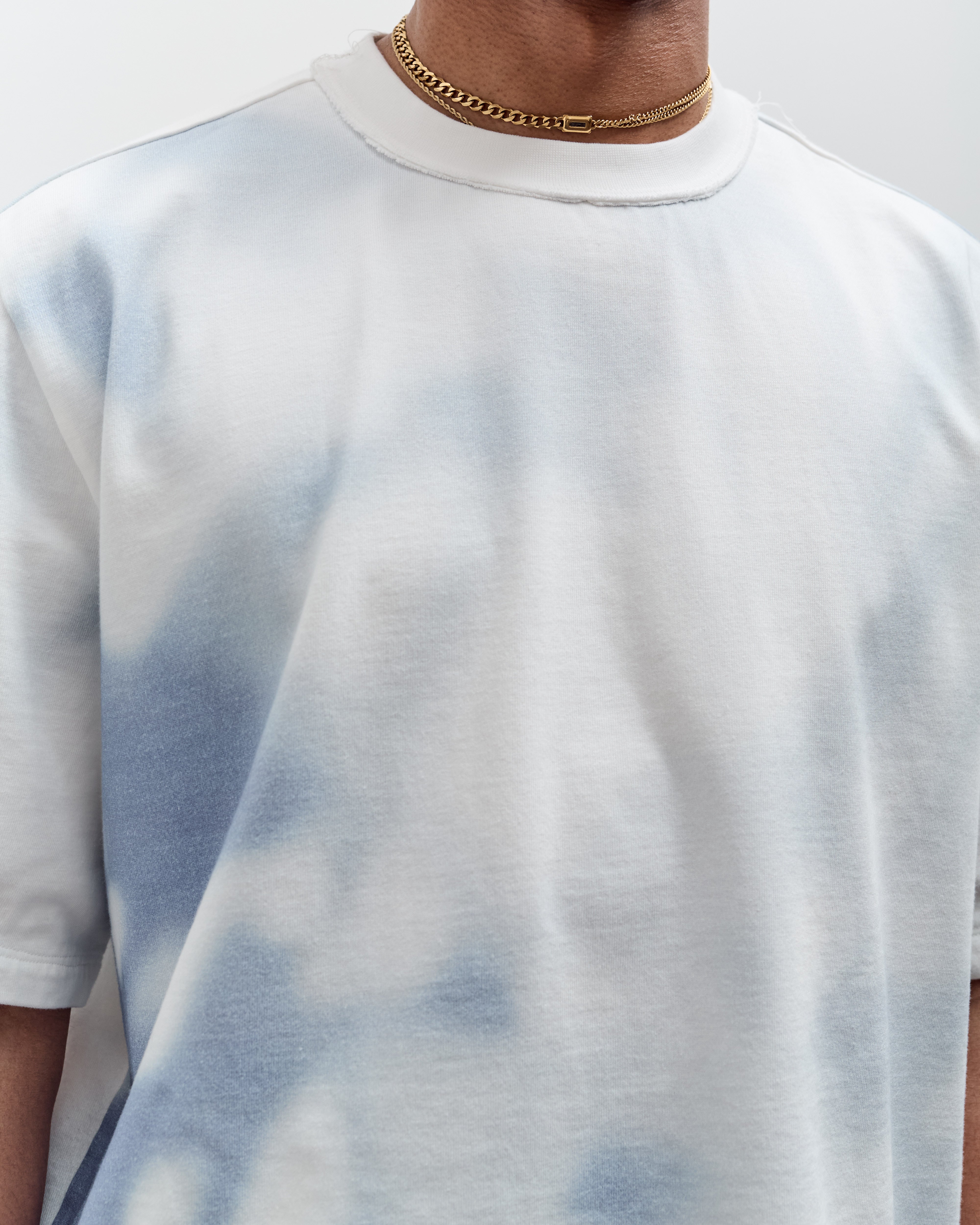 Camiel Fortgens Big Tee, Shade Print – Glasswing