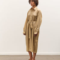 Colbo Office Dress, Washed Gold Nylon