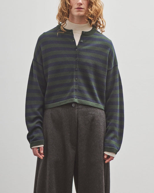 Cordera Merino Wool Striped Cardigan, Green Multi