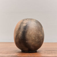 Daisuke Anayama Ko-Daruma, Brown