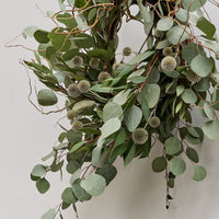 *Preorder* Eucalyptus Holiday Wreath