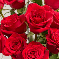 *Preorder* Simply Roses Floral Arrangement