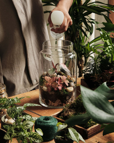 Terrarium Workshop, Bioactive Closed Ecosystem