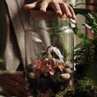 Terrarium Workshop, Bioactive Closed Ecosystem
