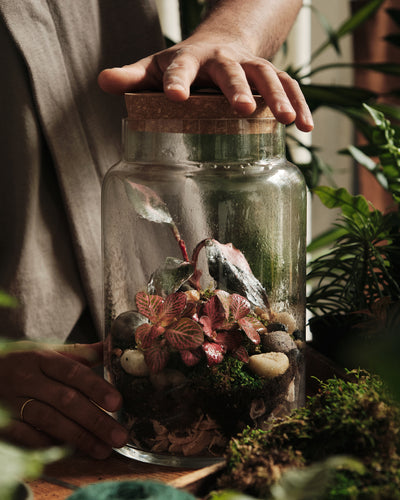 Terrarium Workshop, Bioactive Closed Ecosystem