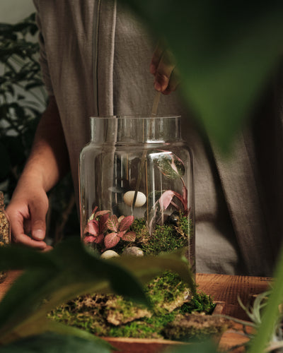 Terrarium Workshop, Bioactive Closed Ecosystem