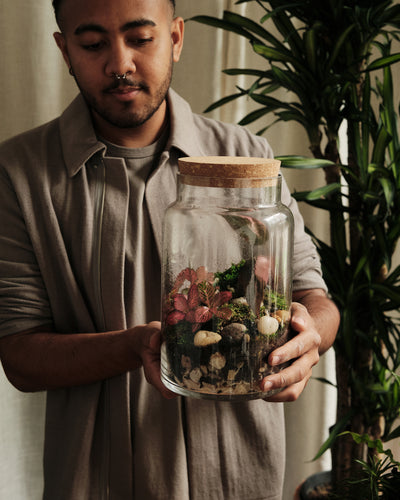 Terrarium Workshop, Bioactive Closed Ecosystem
