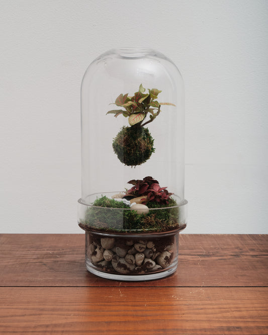Floating Kokedama Workshop