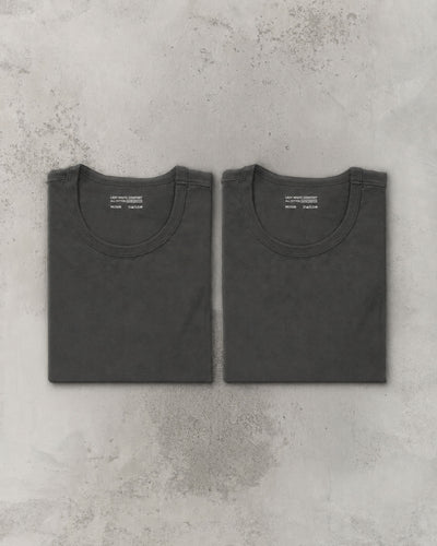 Lady White Co. Our T-Shirt 2-Pack, Flint