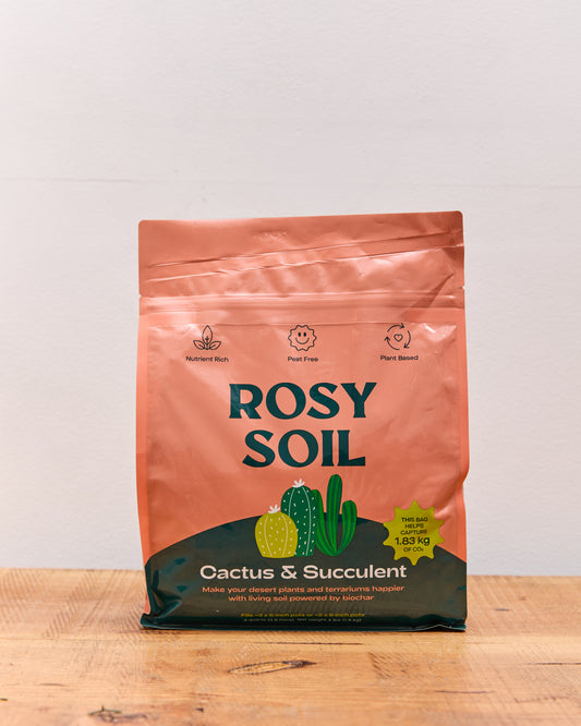 Rosy Soil Organic Cactus & Succulent Mix