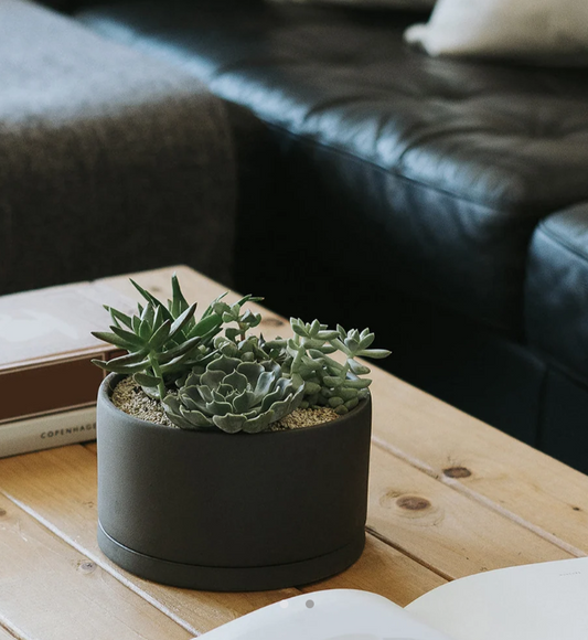 Cylinder Pot & Saucer, Dark Gray