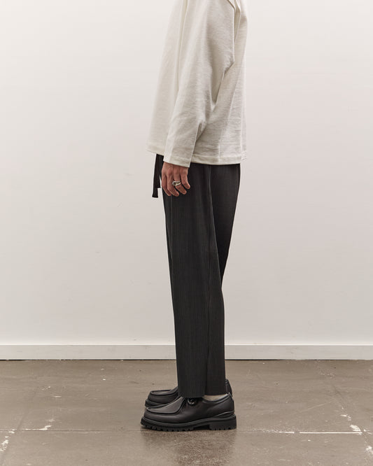 Sillage Baggy Pants Pleats, Anthractie
