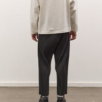 Sillage Baggy Pants Pleats, Anthractie