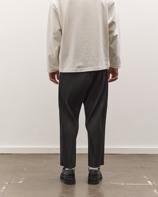 Sillage Baggy Pants Pleats, Anthractie