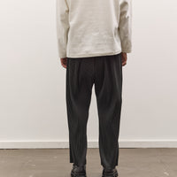 Sillage Baggy Pants Pleats, Anthractie