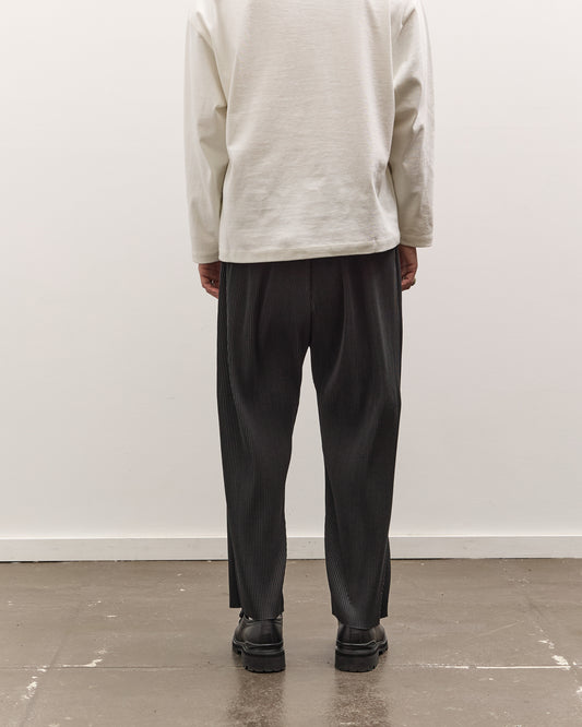 Sillage Baggy Pants Pleats, Anthractie