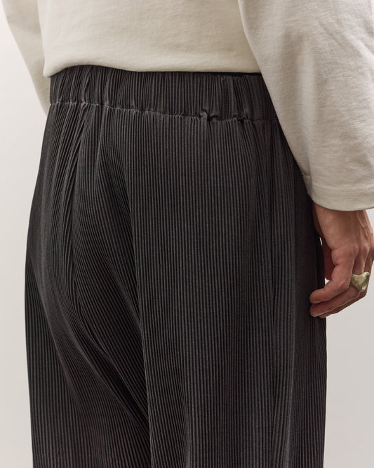 Sillage Baggy Pants Pleats, Anthractie