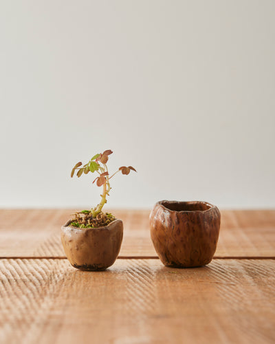 Yuriko Bullock Mini Bowl