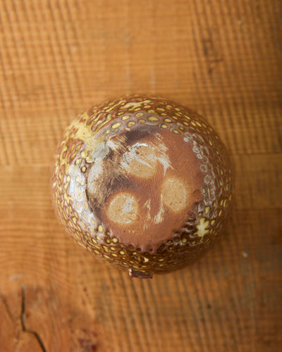 Yuriko Bullock Wood-Fired Bowl #4, Lotus Pod