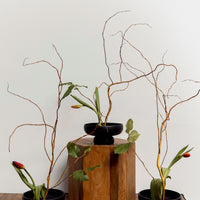 Intro to Ikebana Workshop