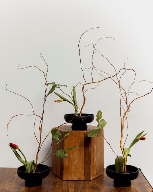 Intro to Ikebana Workshop