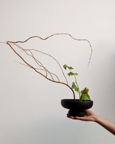 Intro to Ikebana Workshop