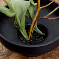 Intro to Ikebana Workshop