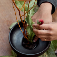 Intro to Ikebana Workshop