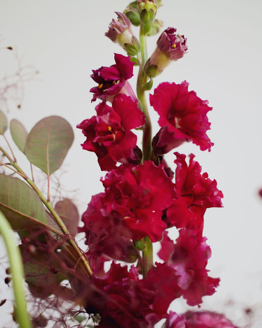 *Preorder* Summer Solstice Floral Arrangement