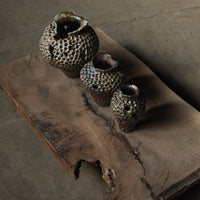 Ceramic Hand-Building Workshop with Alex Roby