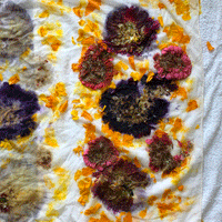 Natural Dyeing Workshop with Maggie Pate, Flower Pounding