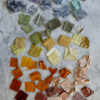 Capturing Color from Food Waste, Natural Dyeing Workshop with Maggie Pate